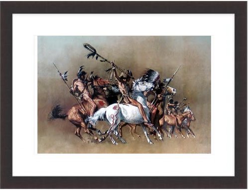 North American Indian Framed Print